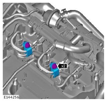 G11709956