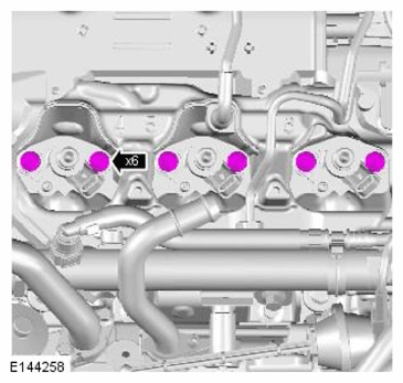G11709958