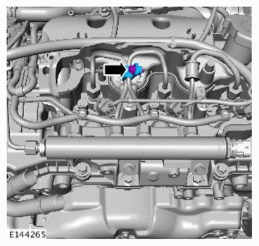G11709983