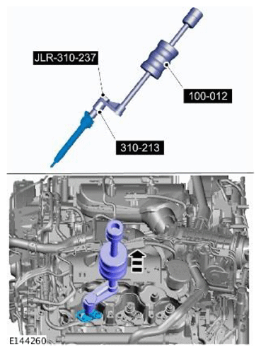 G11709986