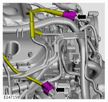 G11710085