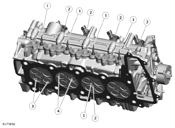 G11714596