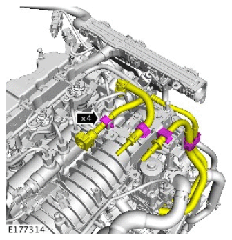G11714646