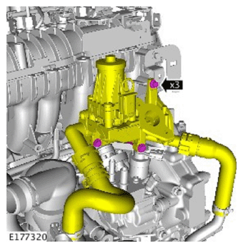 G11714651