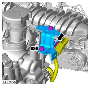 G11714656