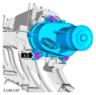 G11714681