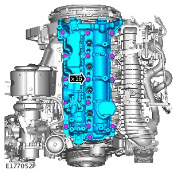 G11714768