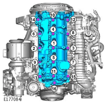 G11714779