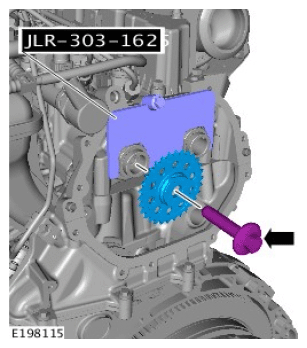 G11714784
