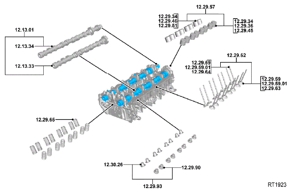 G11714788
