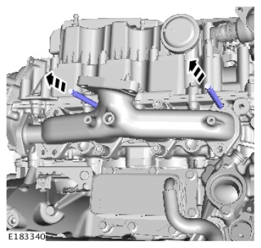 G11714829