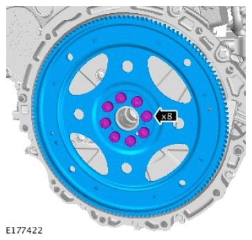G11715024