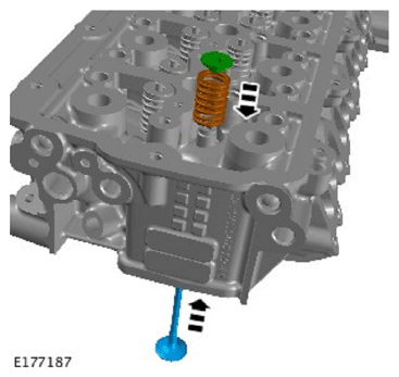 G11715035