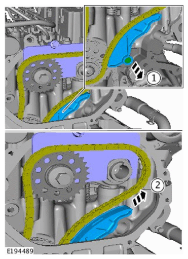 G11715055
