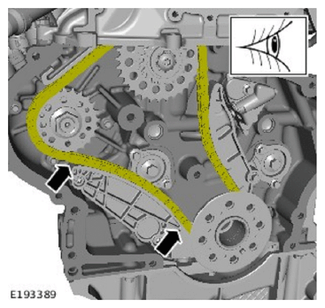 G11715093