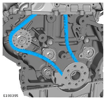 G11715099