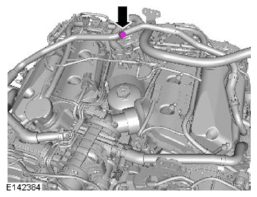 G11715298