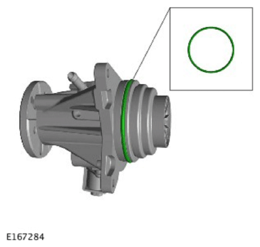 G11715385