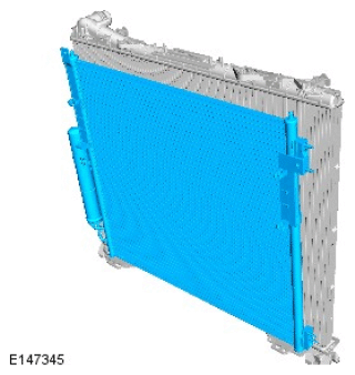 G11715421