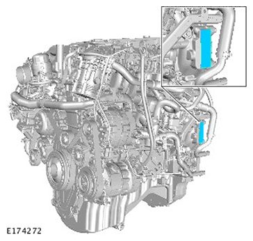 G11715657
