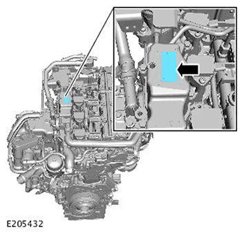 G11715658