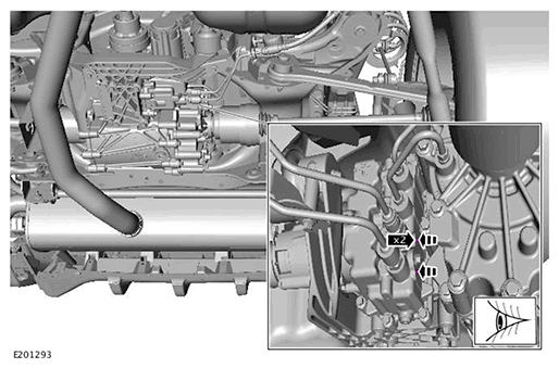 G11716211