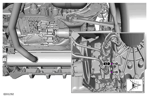 G11716212
