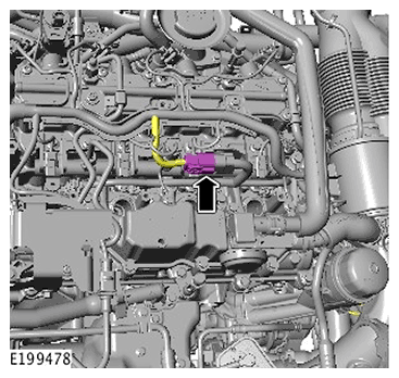 G11716861
