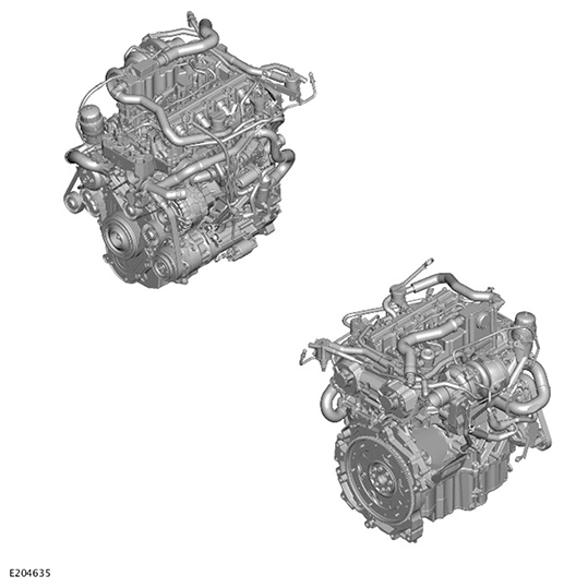 G11717600