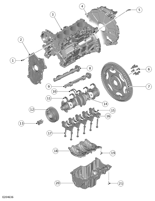 G11717601