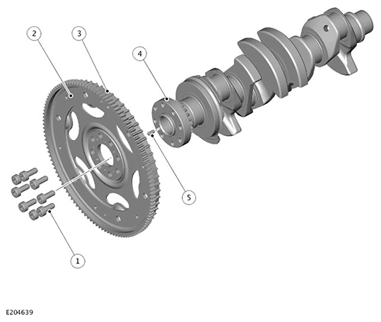 G11717608