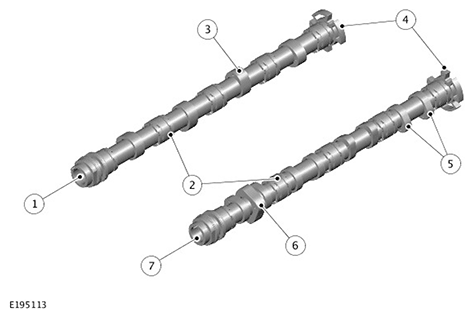 G11717618