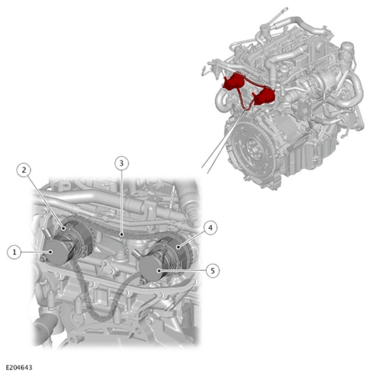 G11717620