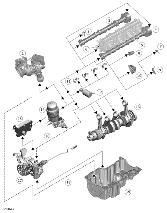 G11717624