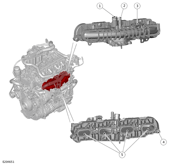 G11717629
