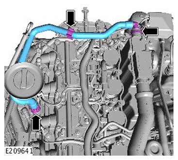 G11717669