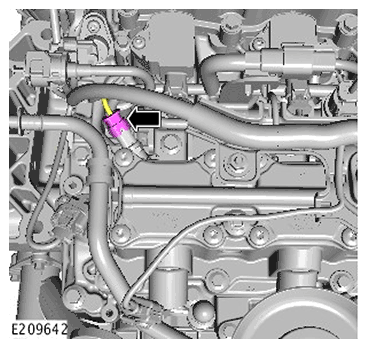 G11717670