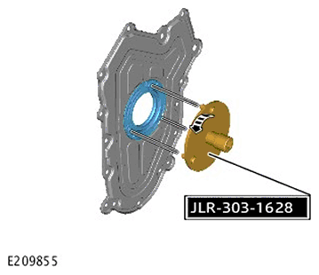 G11717674
