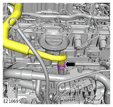G11717768