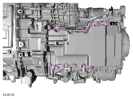 G11717854