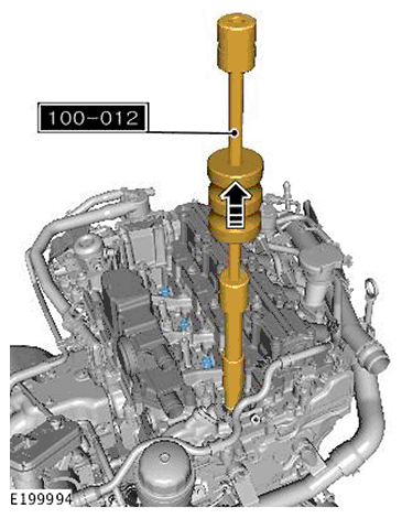 G11718439