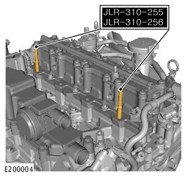 G11718451