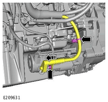G11718538