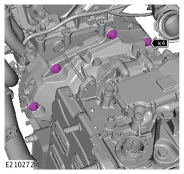 G11719152