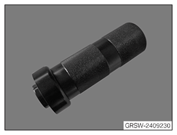 G11720571