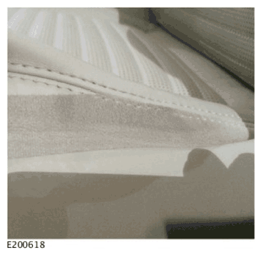 G11725485