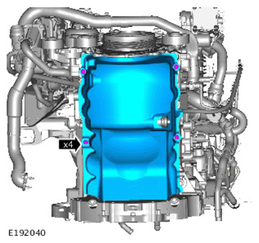 G11731183