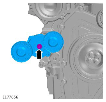 G11731217
