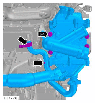 G11731222