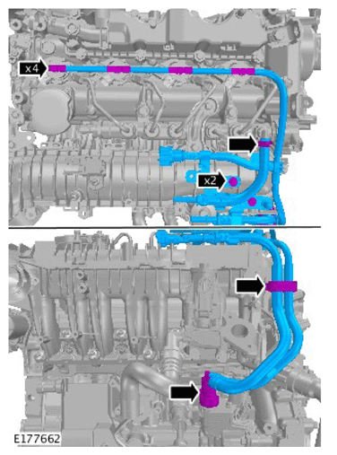 G11731245